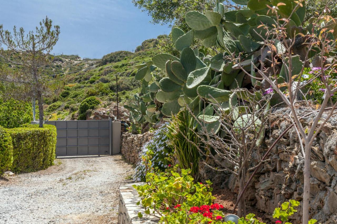 Villa Ourania Ajía Pelajía Kültér fotó